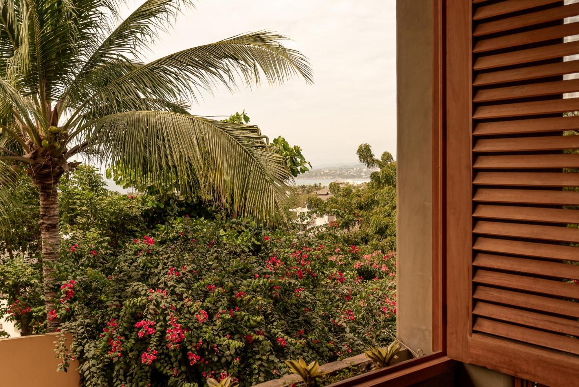 Villa Macarena Apartamentos Boutique - Adults Only Puerto Escondido  Δωμάτιο φωτογραφία